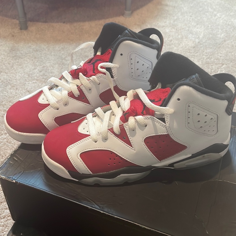 Jordan 6 Carmines